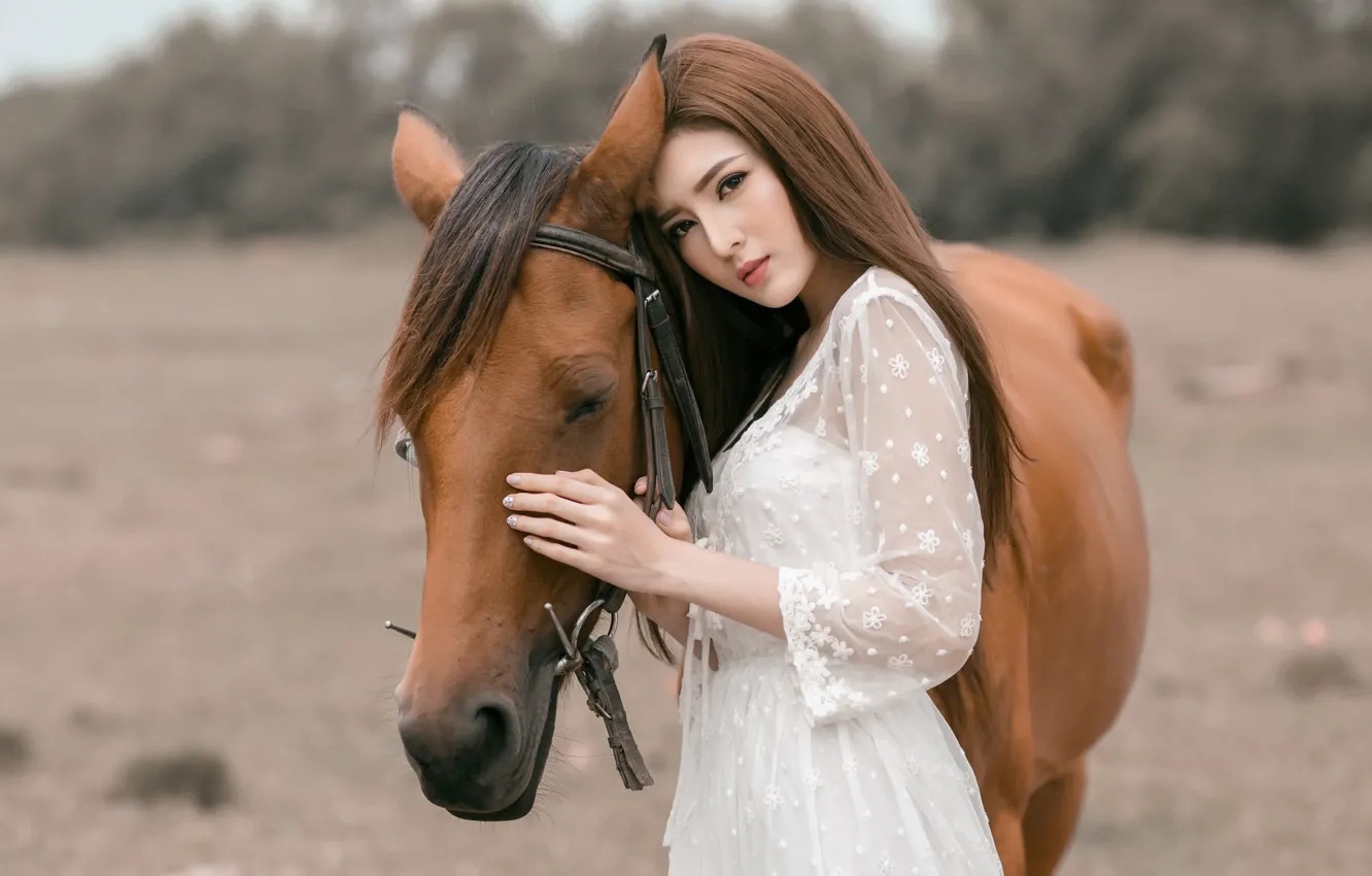 Фото обои девушка, конь, азиатка