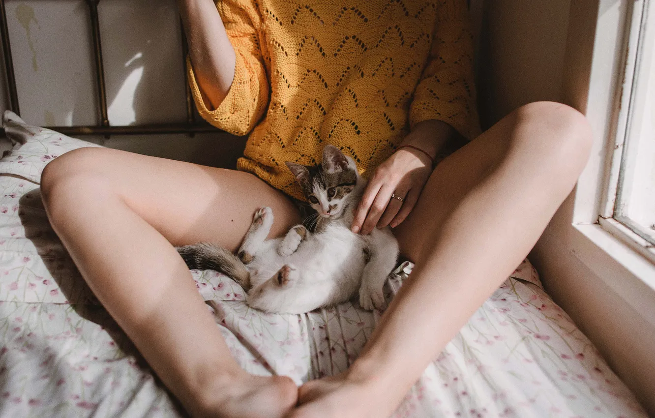 Фото обои кошка, девушка, свет, поза, котенок, ноги, руки, матрац