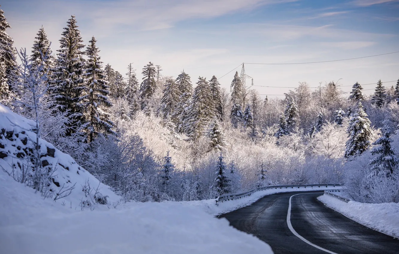Фото обои зима, дорога, лес, снег, деревья, Хорватия