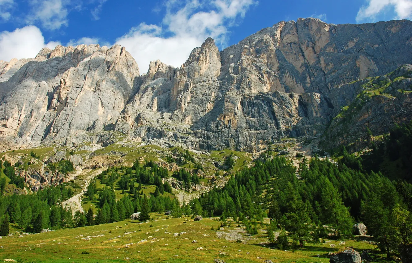 Фото обои горы, скалы, Италия, Italy, деревья.