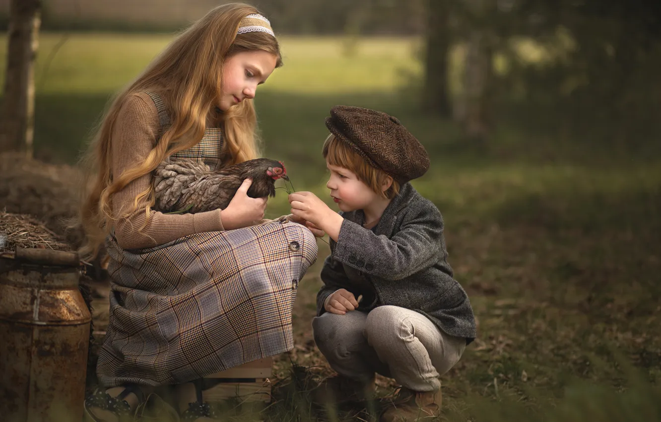 Фото обои курица, мальчик, девочка
