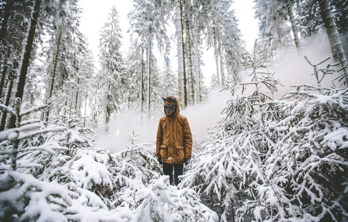 Фото обои зима, лес, снег, деревья, ветки, дым, капот, маска