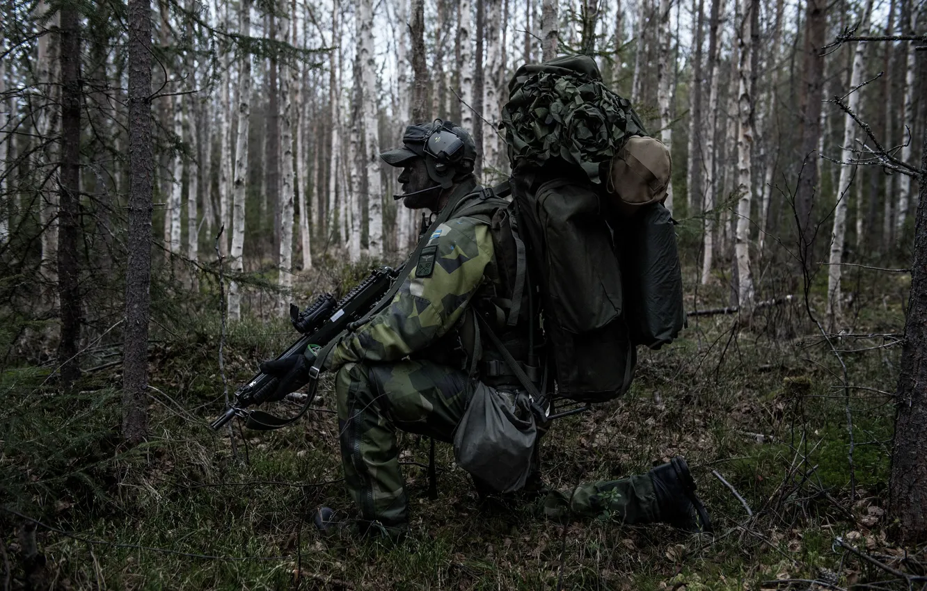 Фото обои лес, оружие, солдат, камуфляж, амуниция