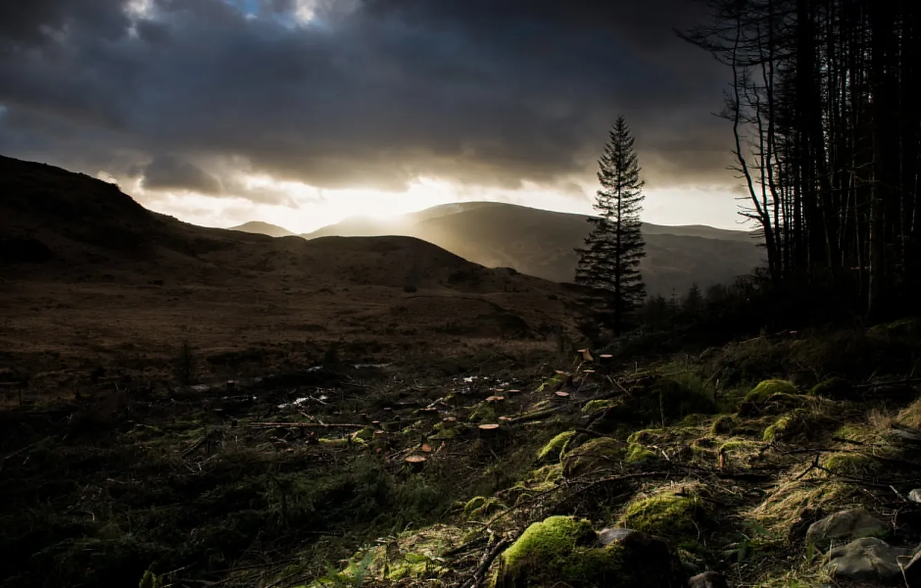 Фото обои nature, cloud, mountain, tree, sun