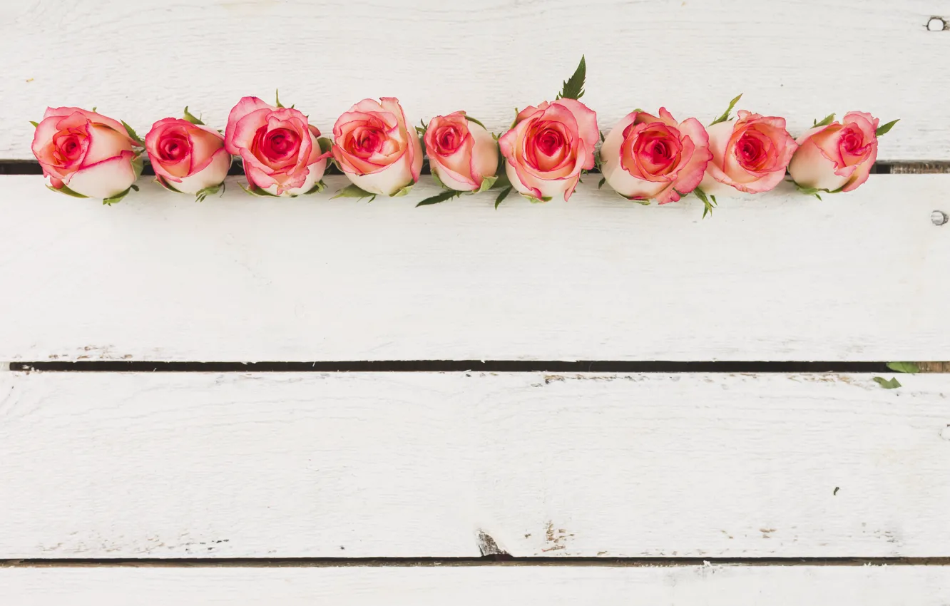 Фото обои розы, бутоны, wood, flowers, beautiful, декор, roses