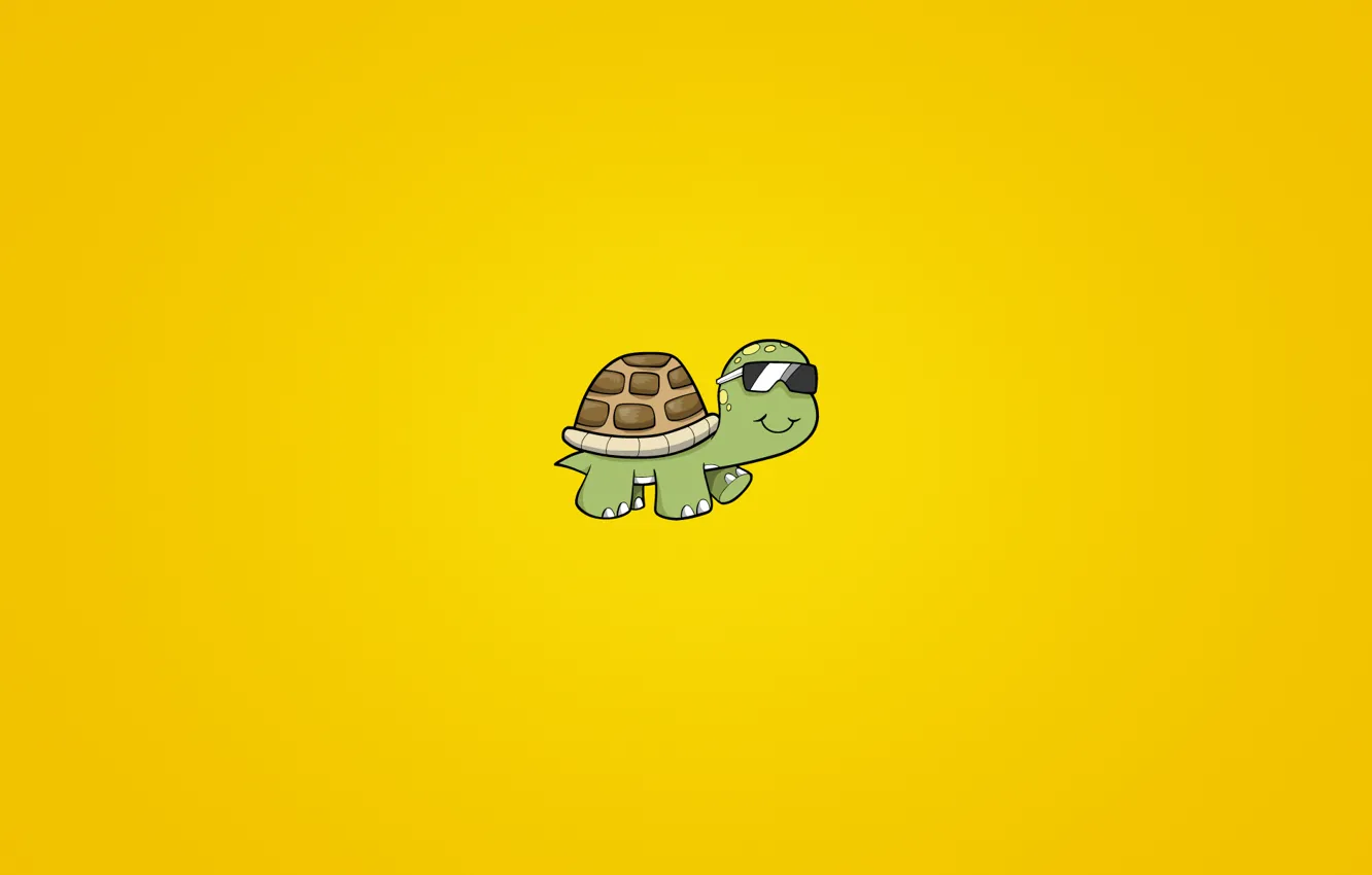 Фото обои животное, черепаха, очки, Панцирь, turtle, солнечный фон