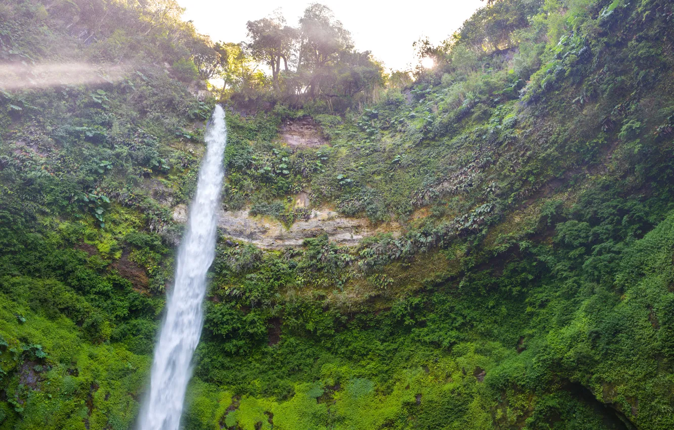 Фото обои скалы, водопад, Чили, Conguillio