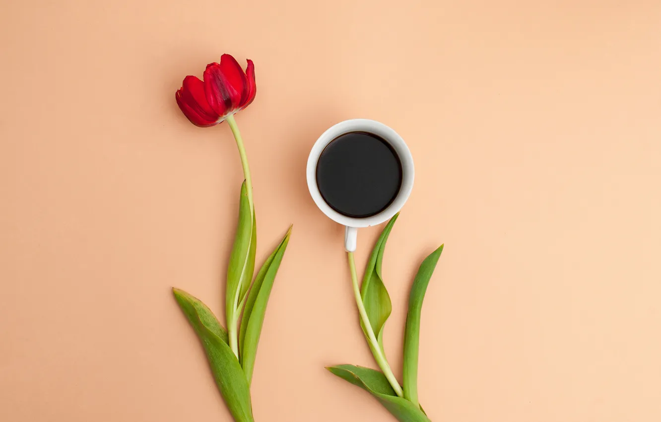 Фото обои цветок, листья, тюльпан, кофе, лепестки, чашка, натюрморт