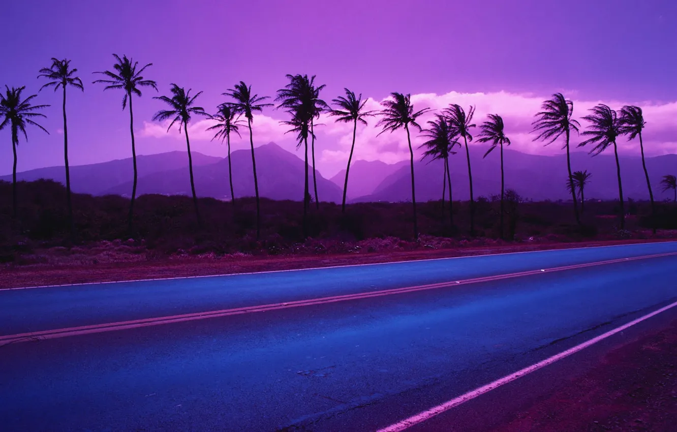 Фото обои дорога, горы, пальмы, цвет, 153