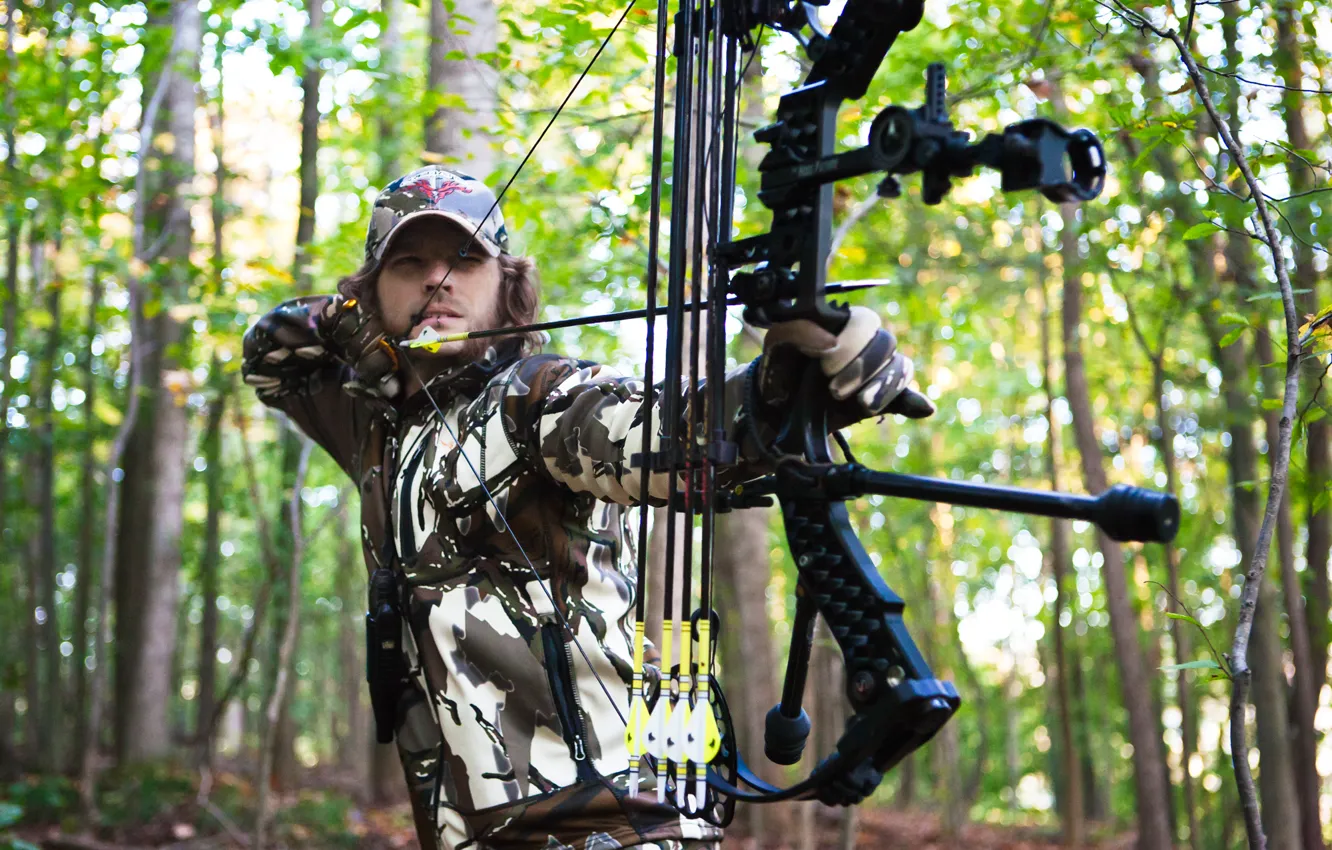 Фото обои forest, archery, hunting arrow