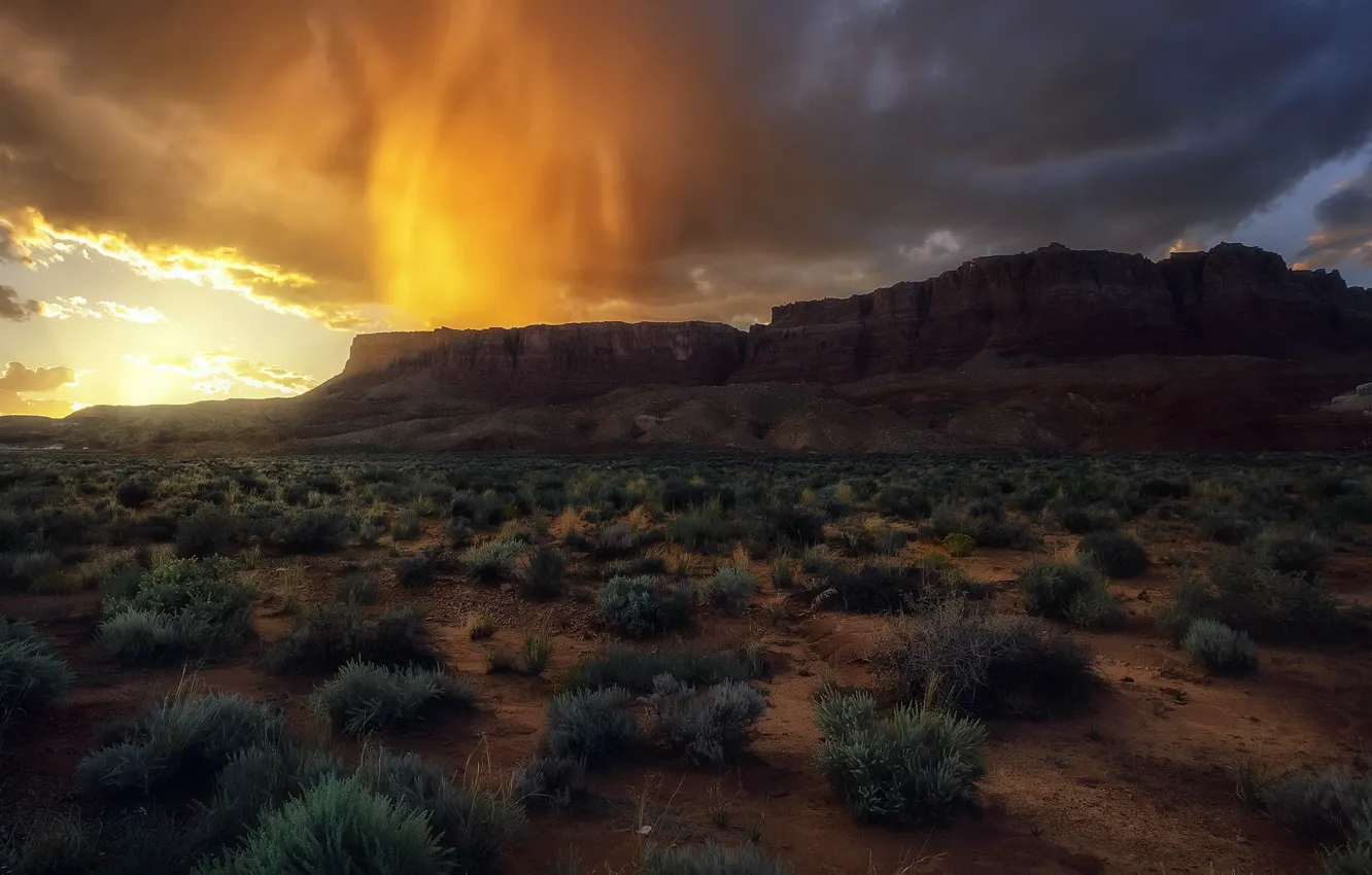 Фото обои landscape, sunset, arizona