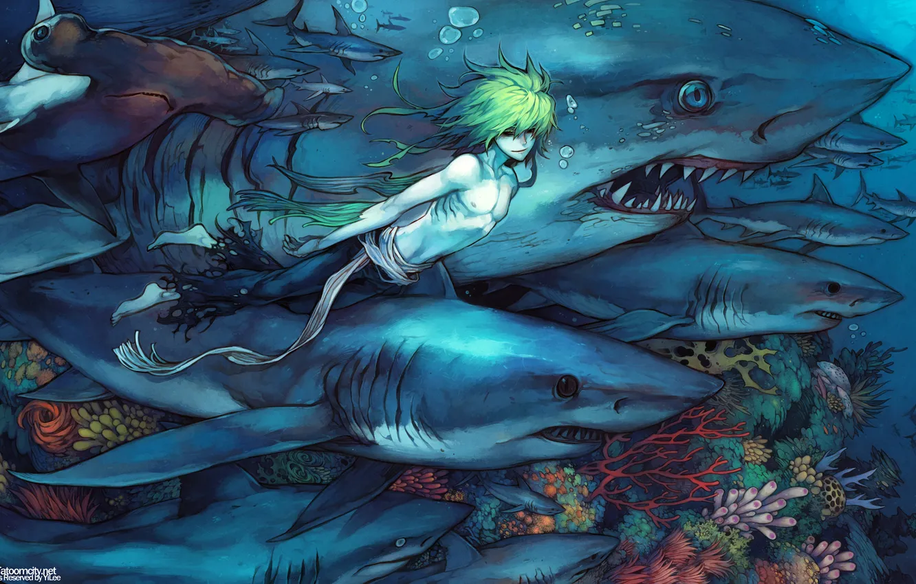 Фото обои море, аниме, мужчина, акулы, подводный мир, поньо