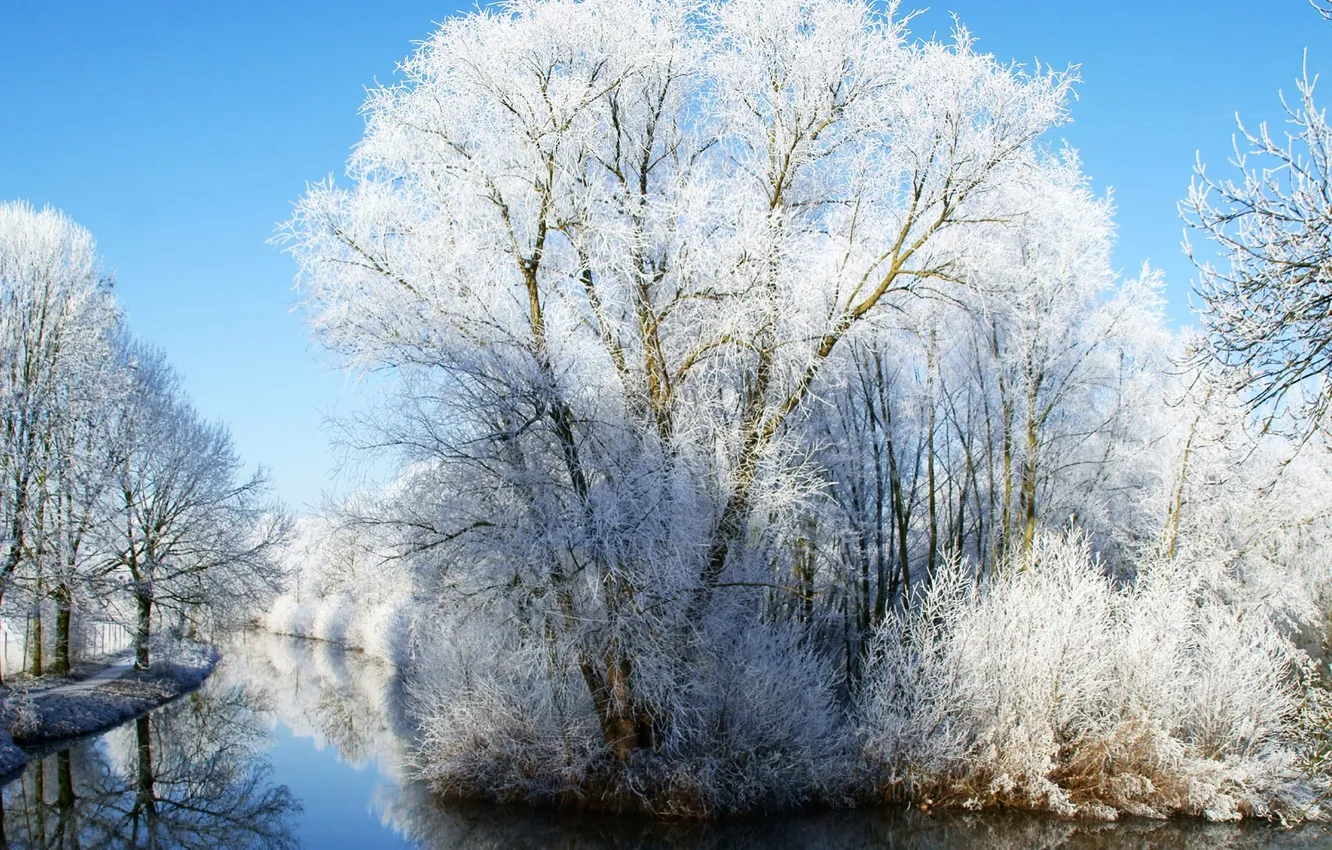 Фото обои зима, небо, снег, деревья, природа, река, фото