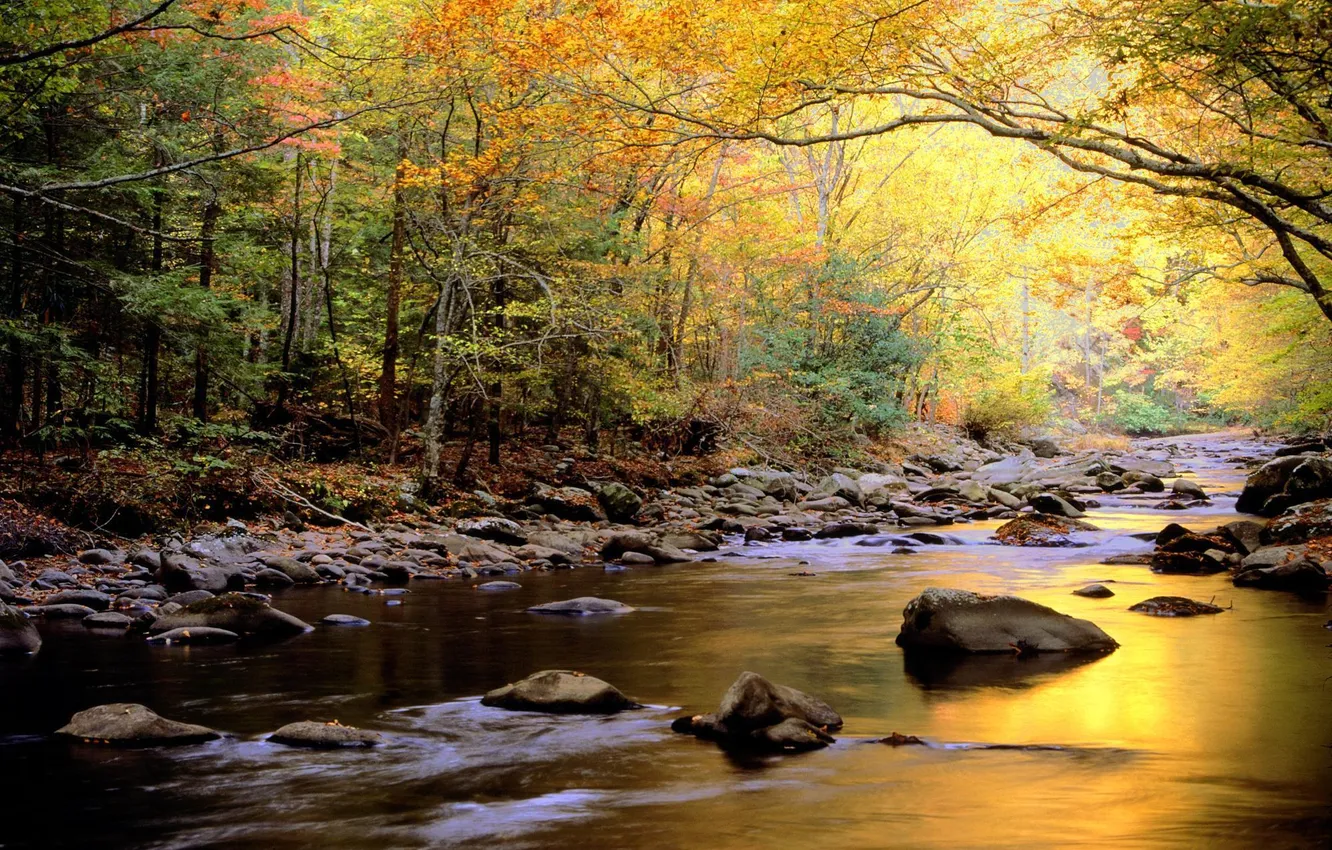 Фото обои Водопад, Парк, США, Золотой, Национальный, Теннеси