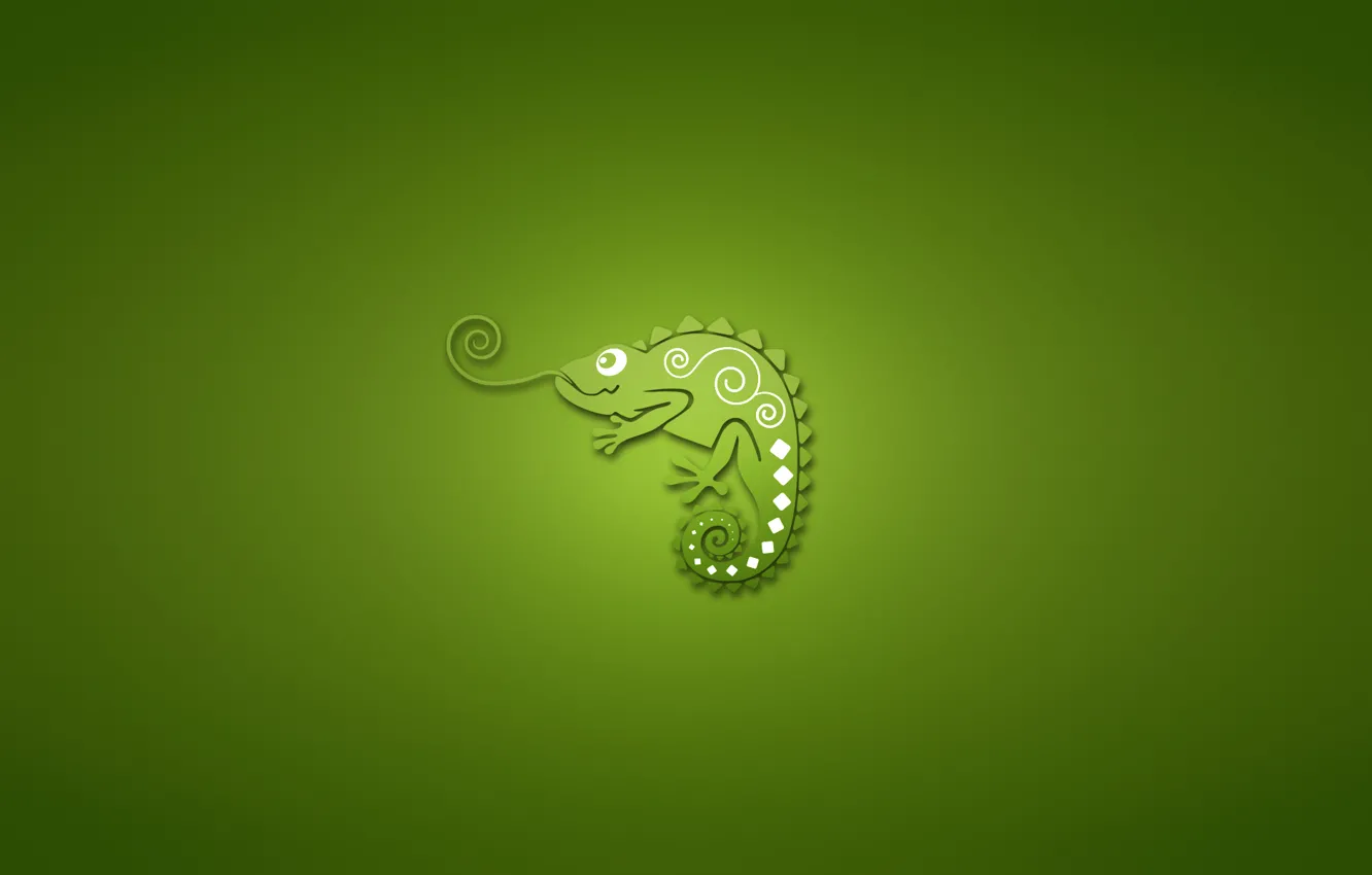 Фото обои хамелеон, минимализм, зеленый фон, chameleon