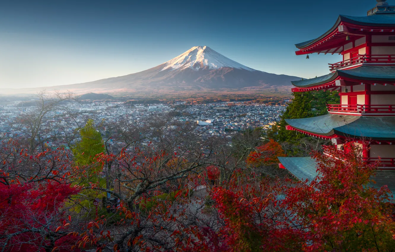 Фото обои деревья, город, гора, Япония, Фудзи, пагода, Japan, Mount Fuji