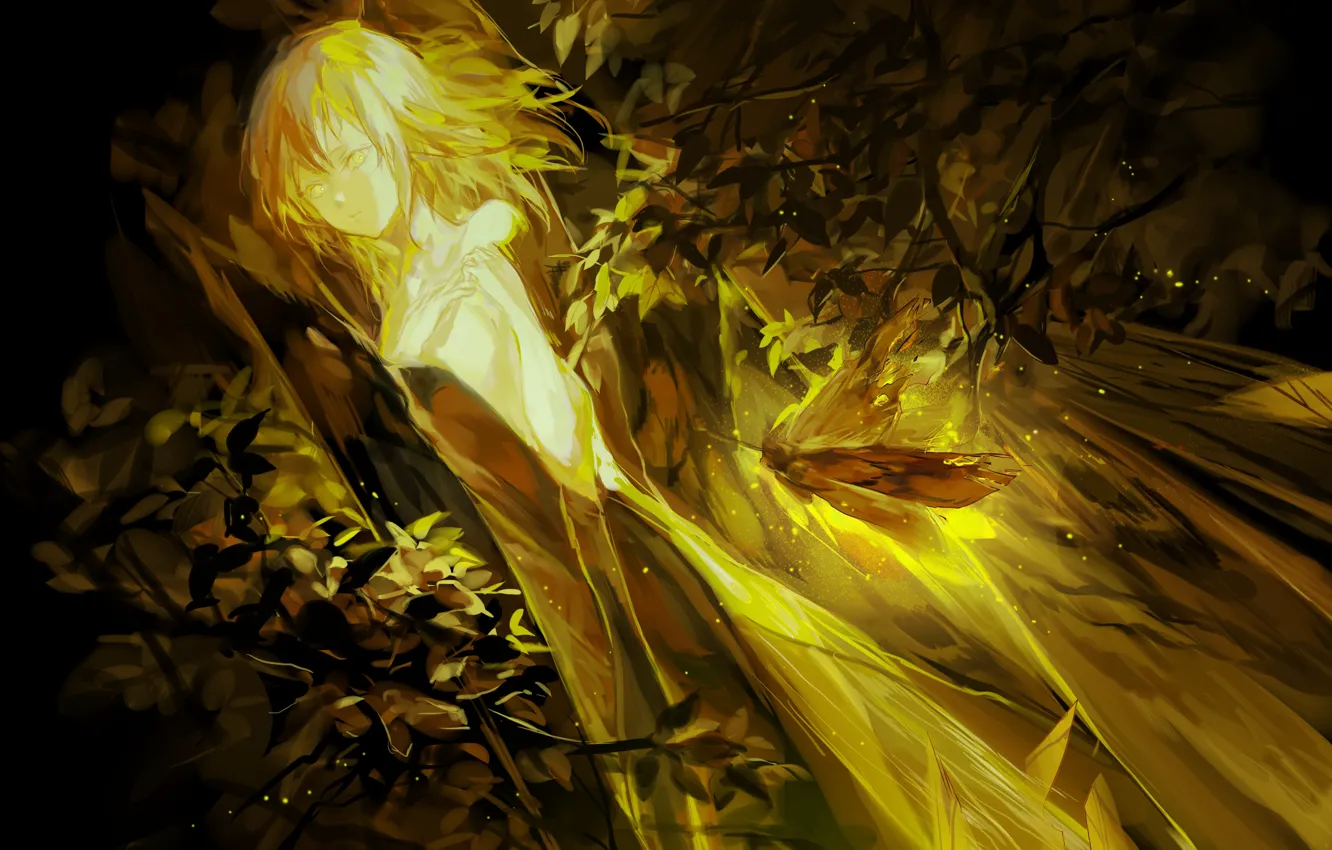 Фото обои листья, девушка, золотой свет