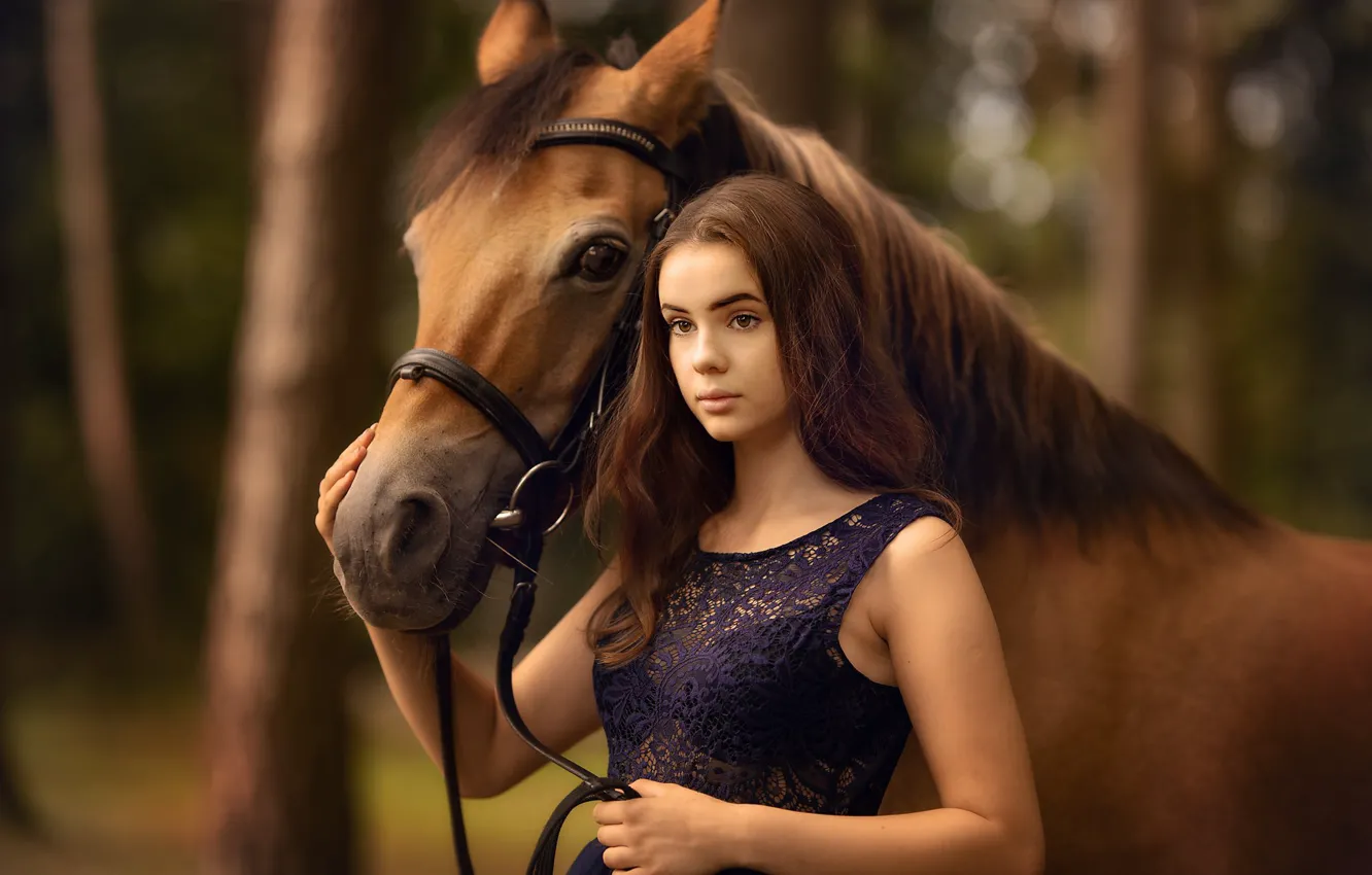 Фото обои лес, взгляд, морда, девушка, природа, лицо, поза, конь