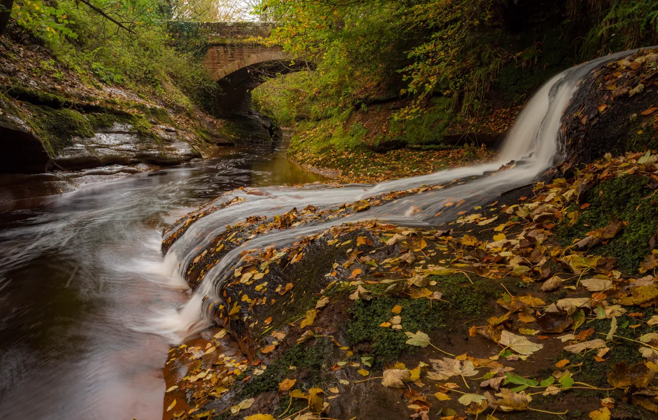 Фото обои осень, листья, мост, река, Англия, водопад, England, Cumbria