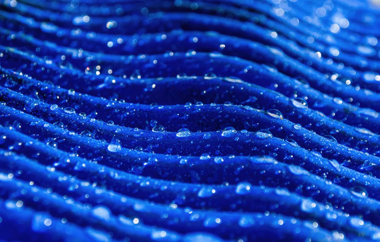 Фото обои Macro, Water drops, Blue background, Dew Drops, Water droplets