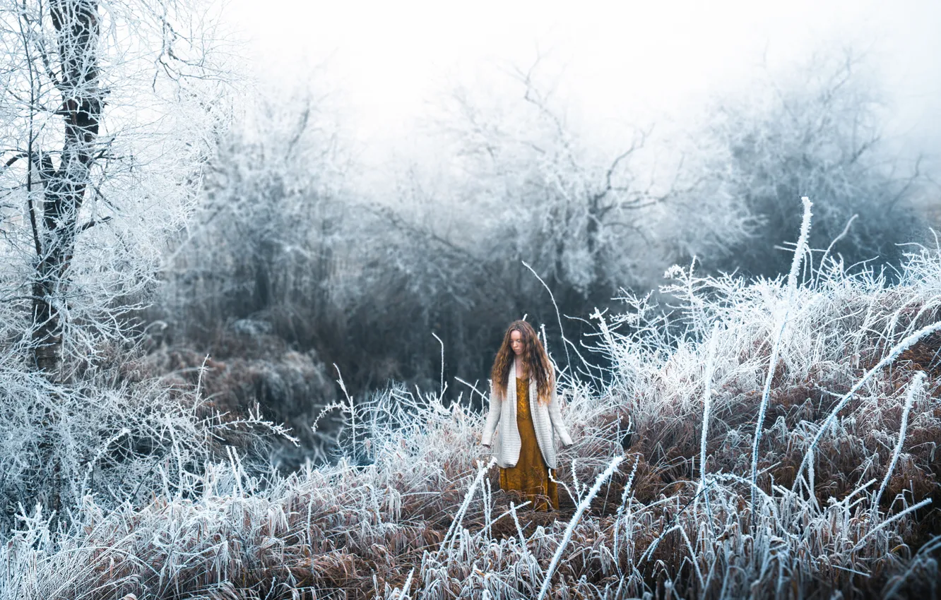 Фото обои лес, девушка, снег, Lizzy Gadd, Winter Frost