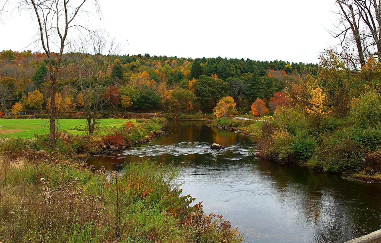 Фото обои осень, река, colors, river, Autumn, fall