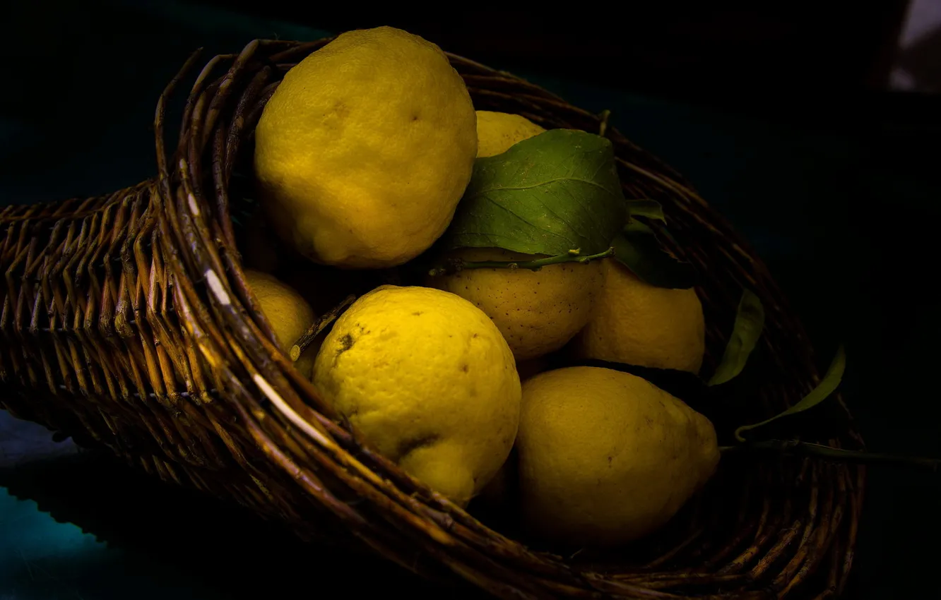 Фото обои макро, лимон, фрукт
