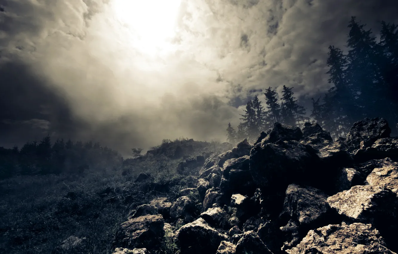 Фото обои лес, облака, туман, камни