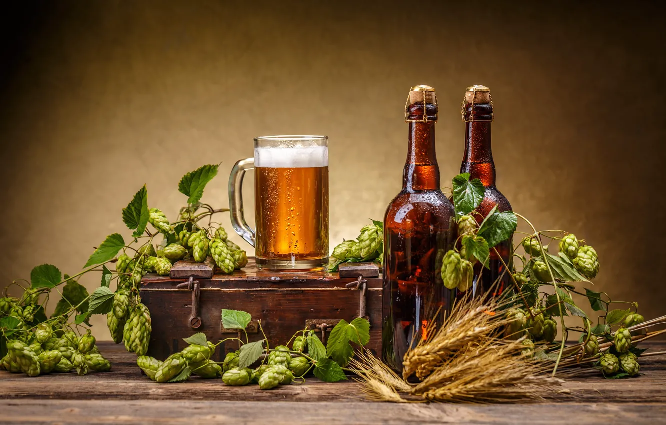 Фото обои пена, листья, доски, рожь, бутылка, пиво, кружка, колосья