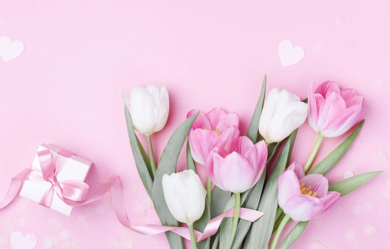 Фото обои цветы, подарок, тюльпаны, розовый фон, 8 марта, pink, flowers, background