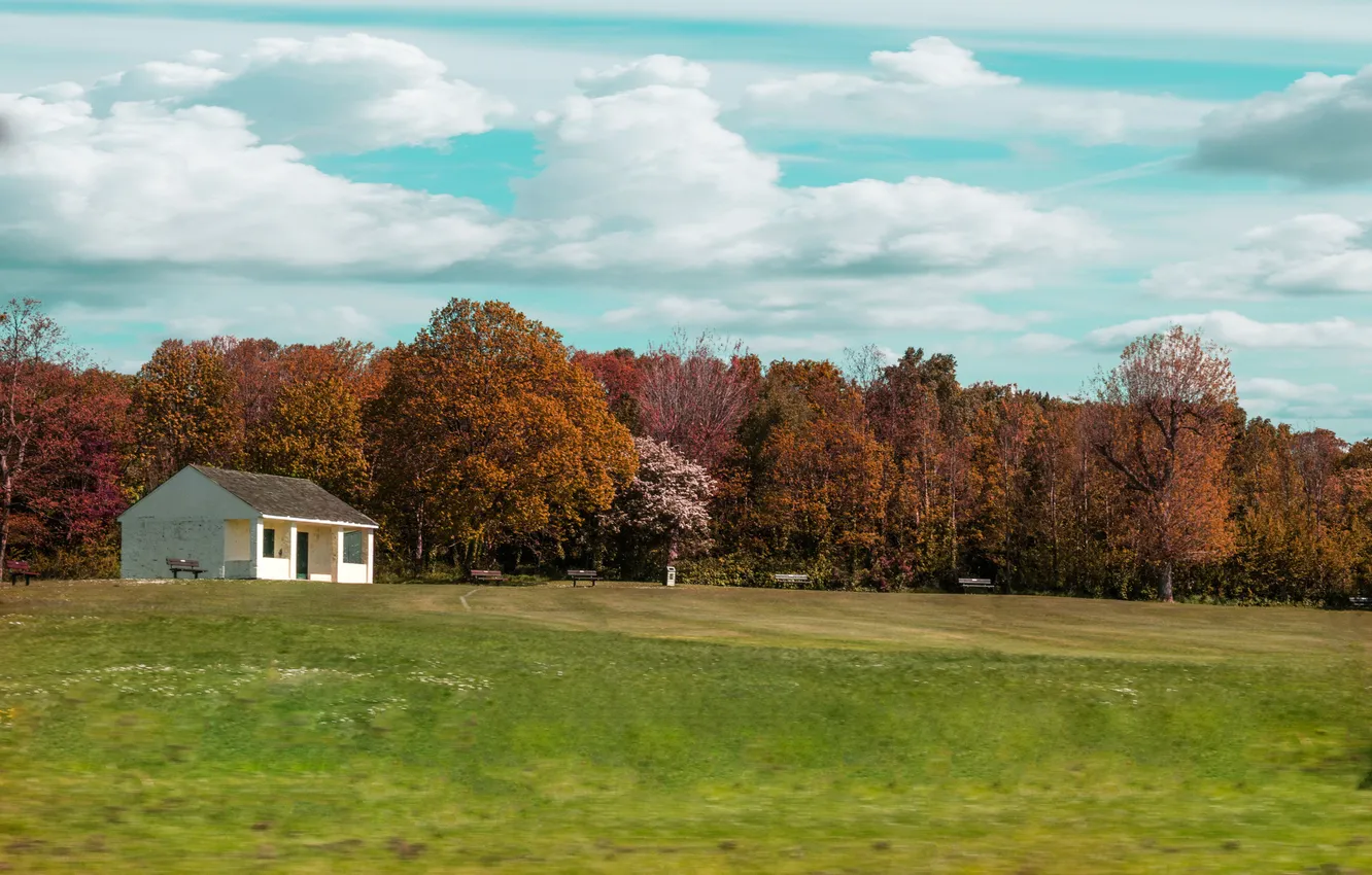 Фото обои поле, небо, трава, облака, деревья, дом, парк, самосвал