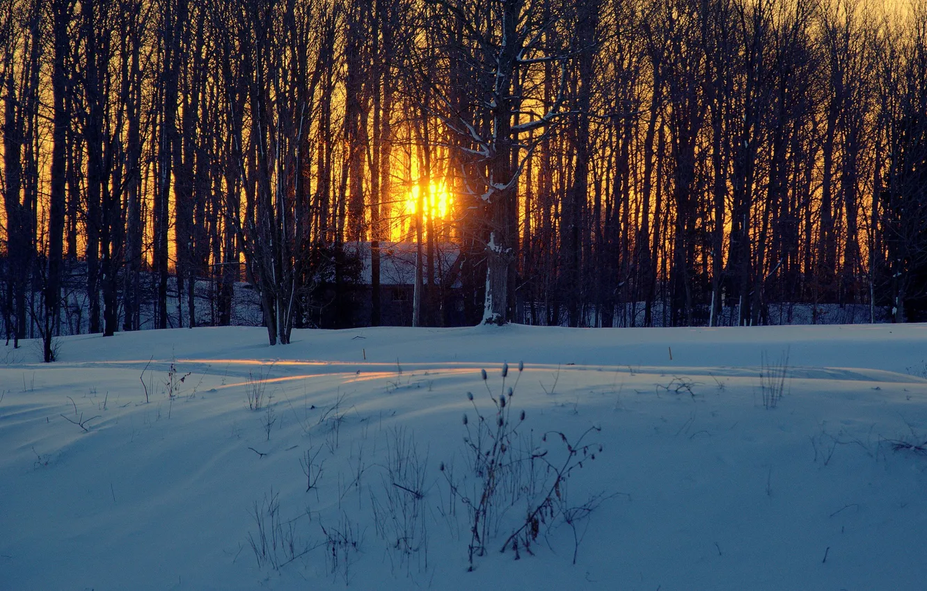 Фото обои снег, деревья, закат, дом