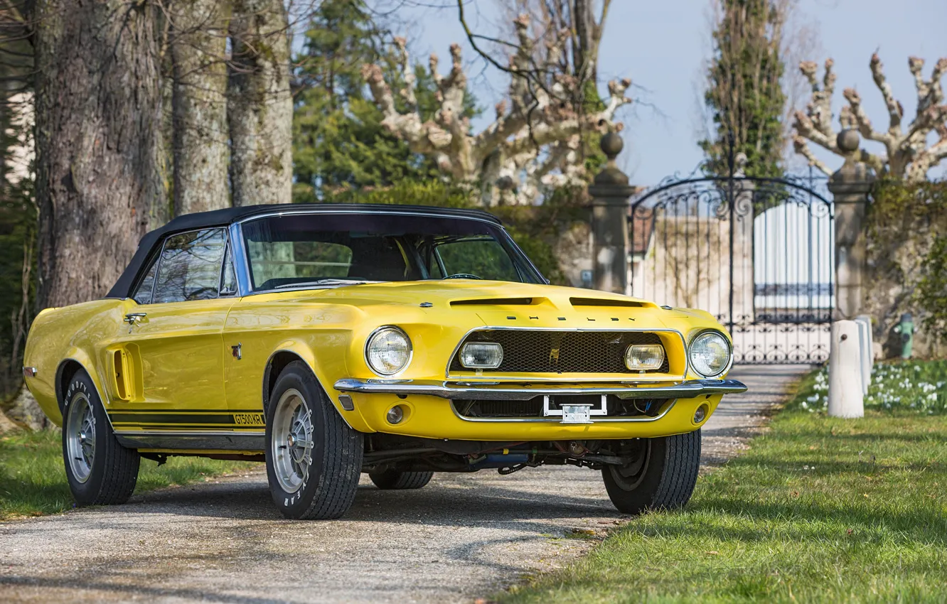 Фото обои Mustang, Ford, Shelby, Ford Mustang, Front, Yellow, Convertible, GT500 KR