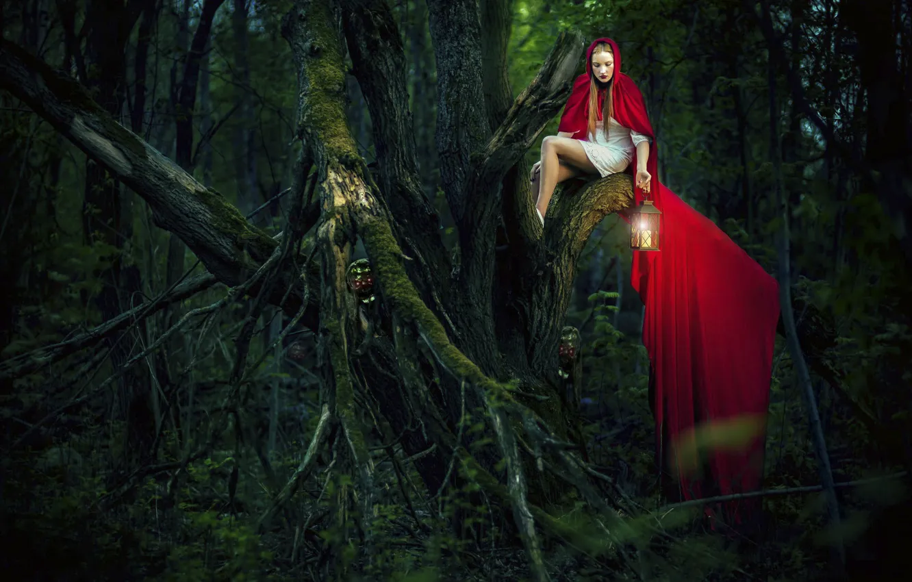 Фото обои лес, девушка, дерево, арт, красный плащ