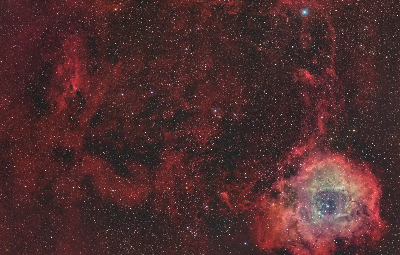 Фото обои космос, звезды, пространство, Rosette Nebula