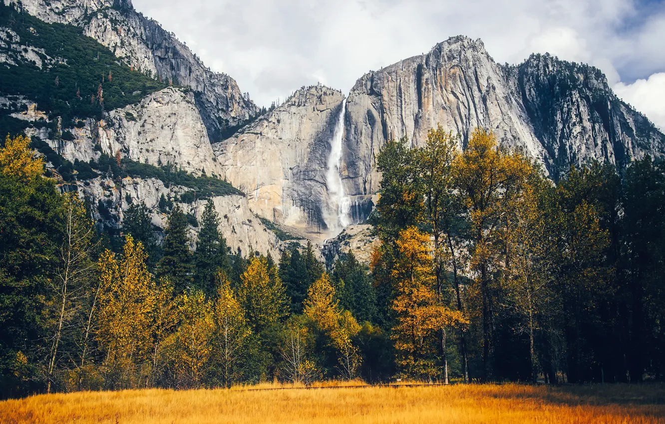 Фото обои осень, трава, деревья, горы, скалы, поляна, водопад, Калифорния