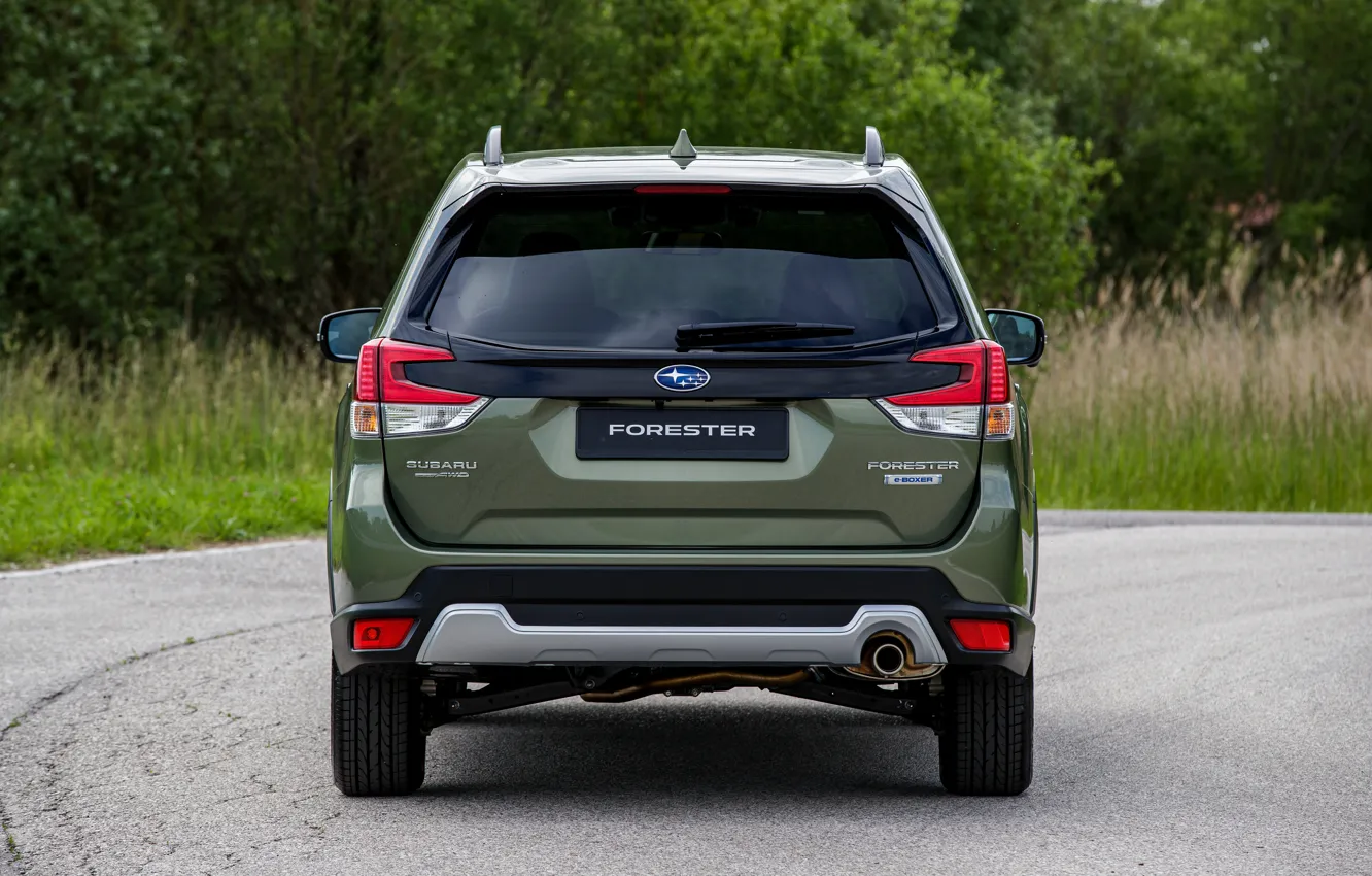 Фото обои Subaru, сзади, кроссовер, корма, Forester, 2019