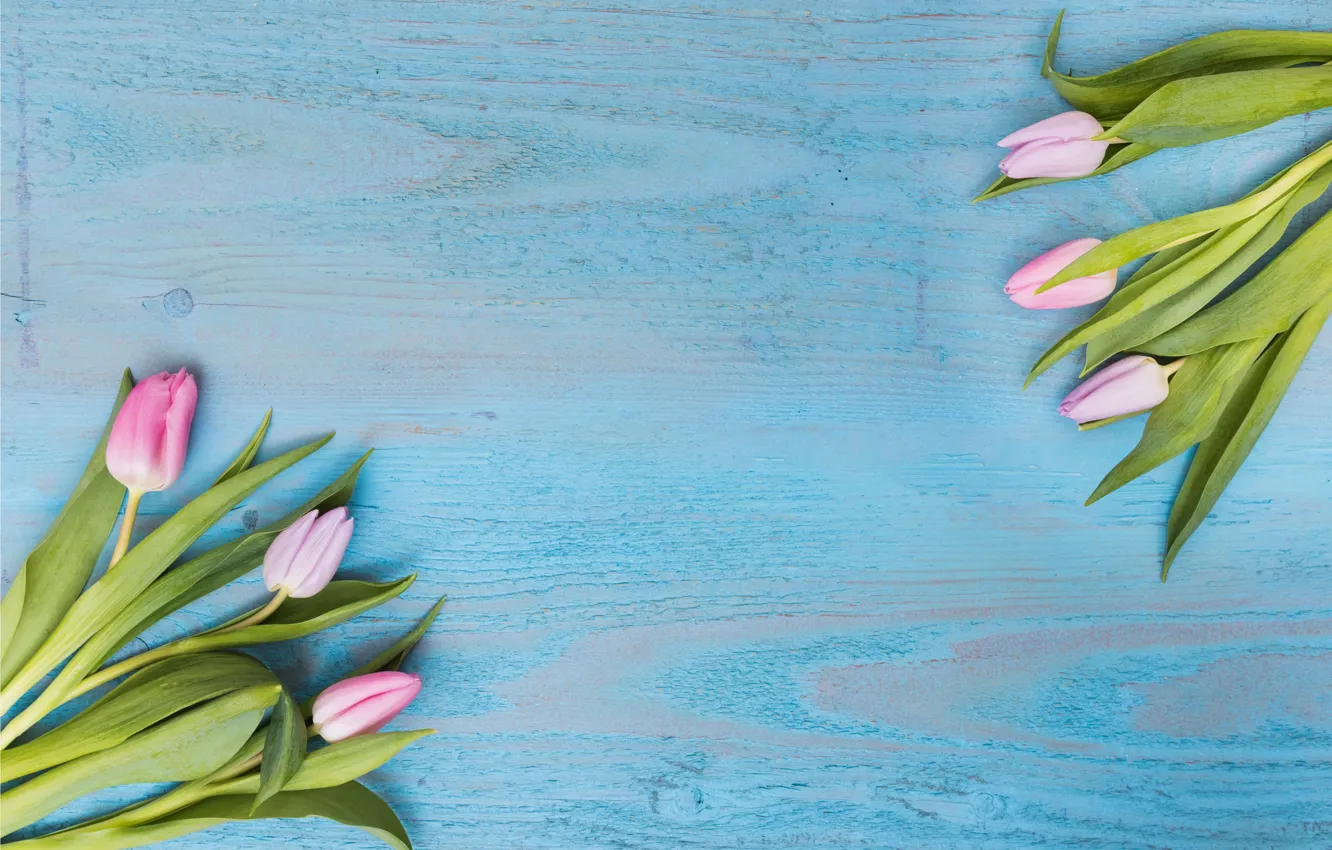 Фото обои цветы, тюльпаны, розовые, fresh, wood, pink, flowers, tulips