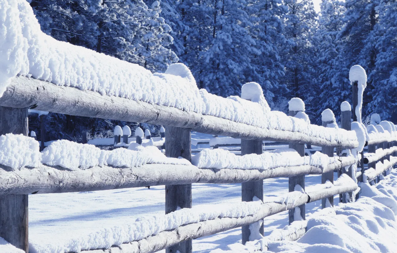 Фото обои зима, снег, ограда