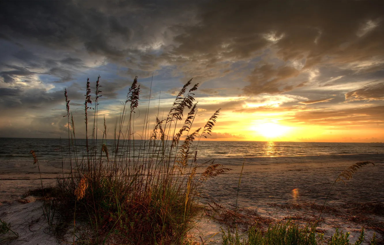 Фото обои песок, море, трава, облака, закат, природа