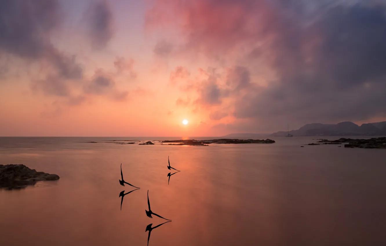 Фото обои beach, sea, ocean, sunset, seagulls