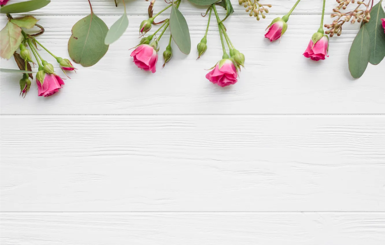 Фото обои листья, цветы, розы, розовые, бутоны, wood, pink, flowers
