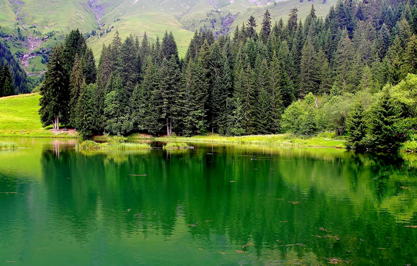 Фото обои трава, деревья, горы, озеро, Франция, Верхняя Савойя