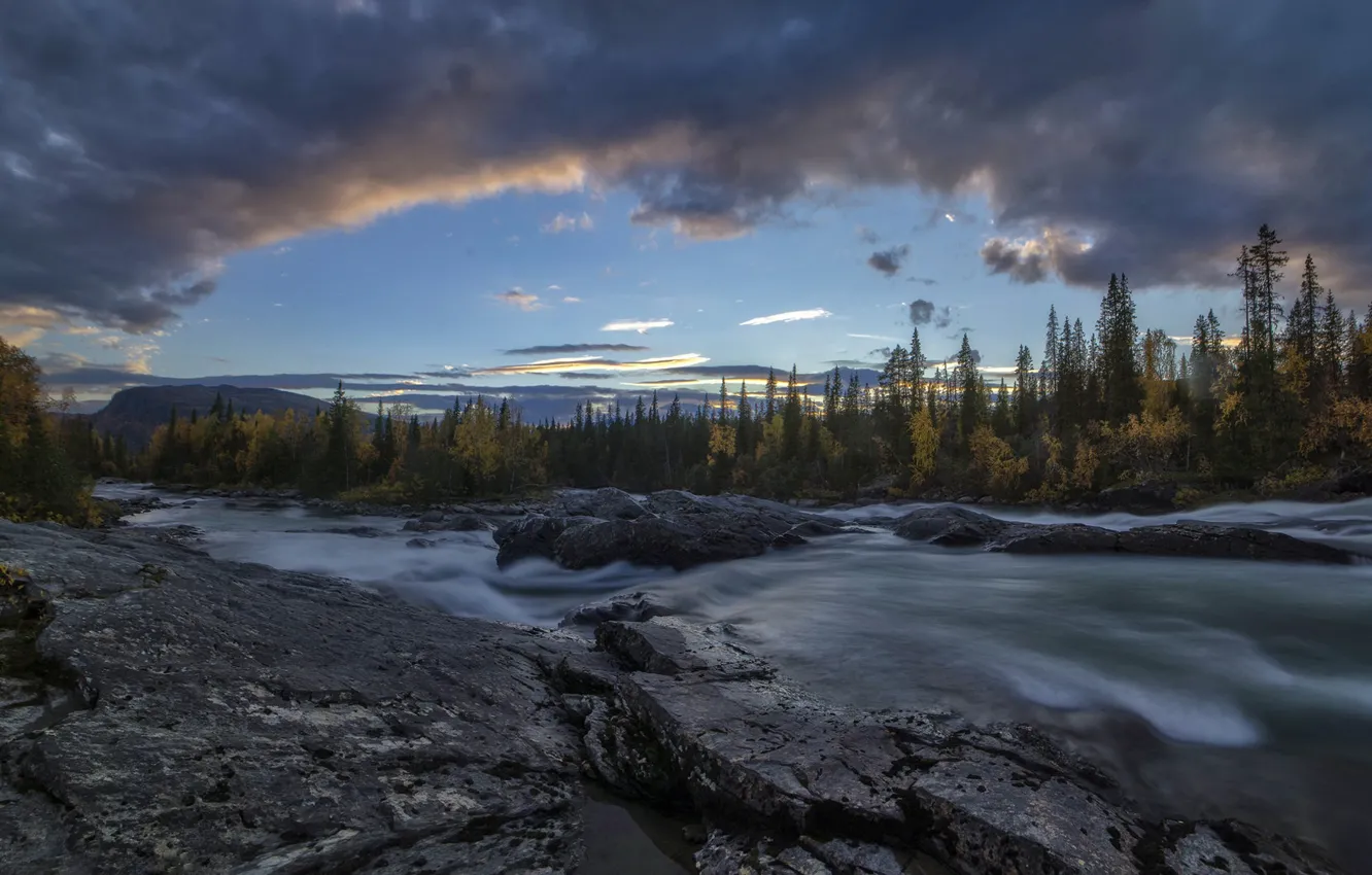 Фото обои осень, лес, облака, деревья, река, Швеция, Sweden, Lapland