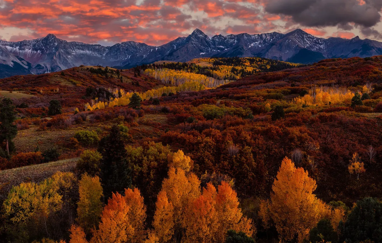 Фото обои осень, лес, горы, краски осени