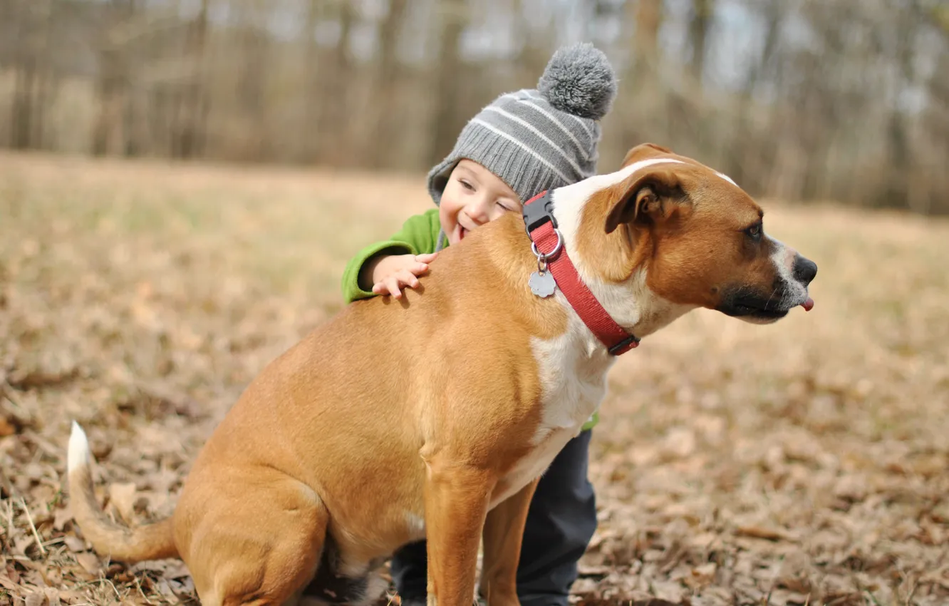 Фото обои радость, фон, друг, настроение, widescreen, обои, собака, мальчик