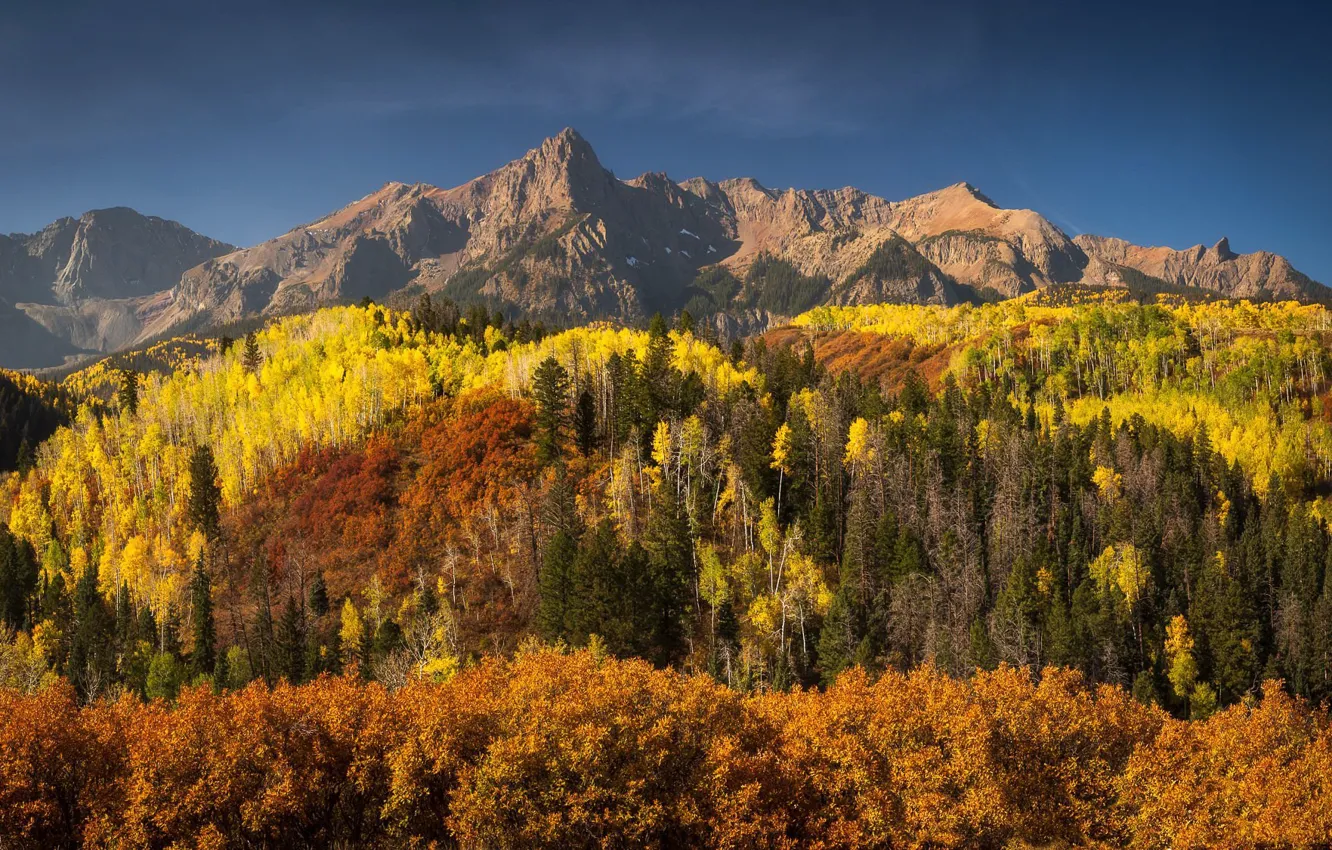 Фото обои природа, Autumn, Colorado
