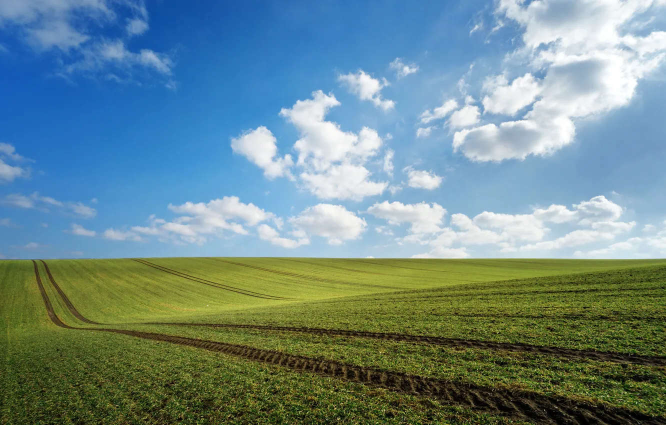 Фото обои зелень, поле, облака, следы, весна, неьо