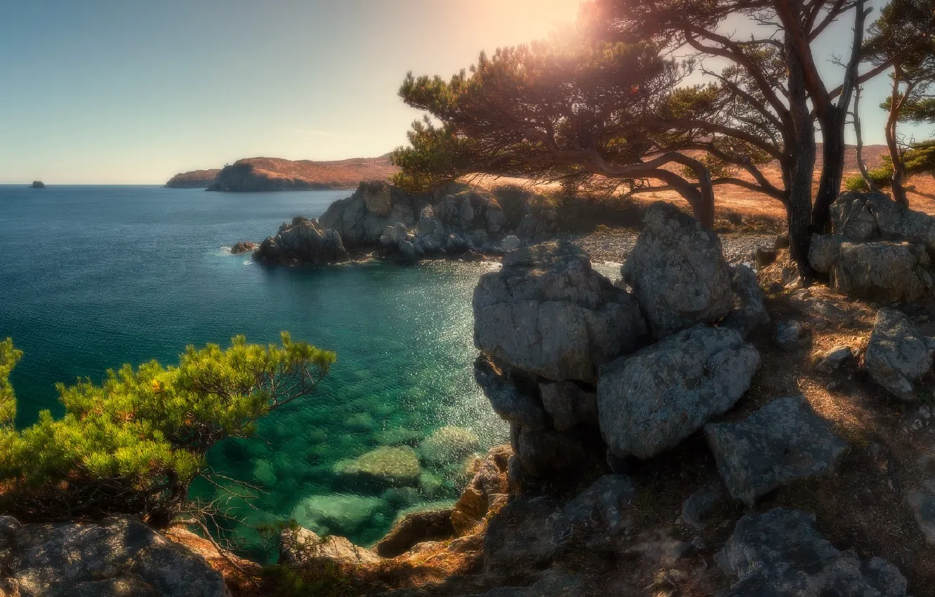 Фото обои море, деревья, природа, камни, Приморский край, Андрей Кровлин