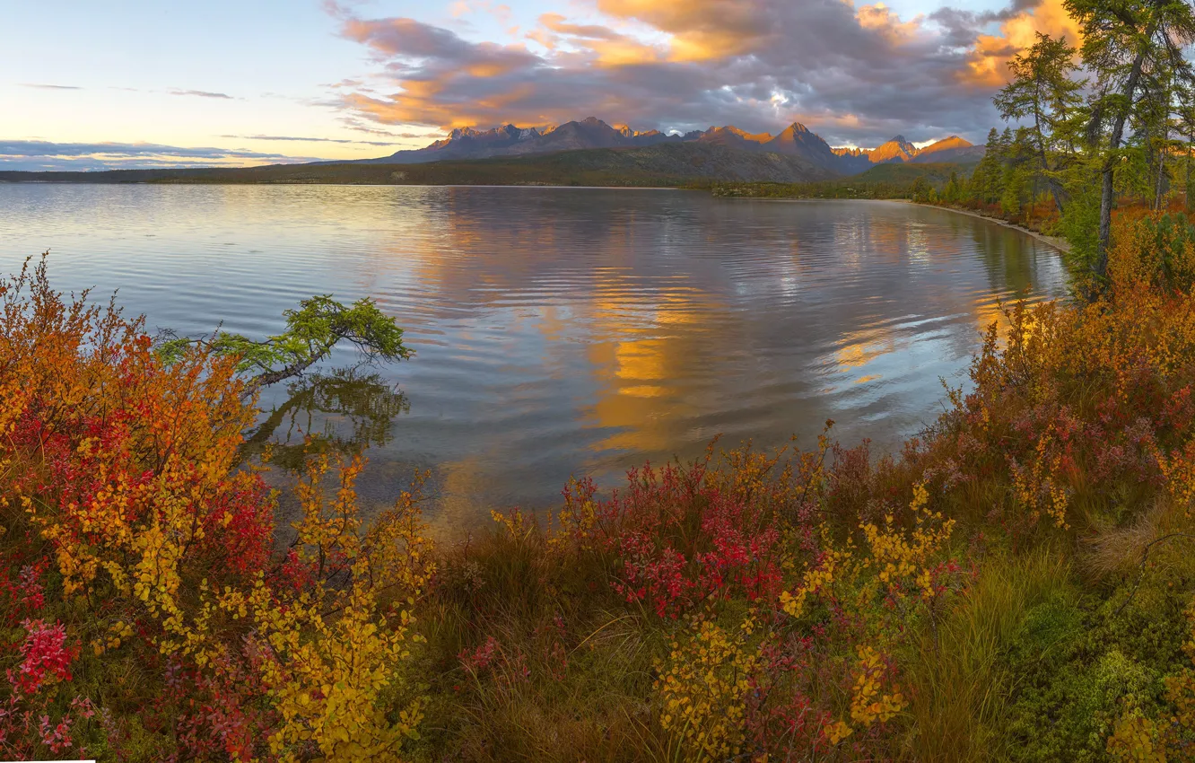 Фото обои осень, деревья, горы, озеро, Россия, кусты, Владимир Рябков, Магаданская область